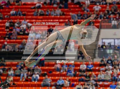 Thumbnail 1 in UIL 6A Swimming & Diving Finals (Diving) photogallery.