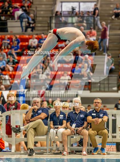 Thumbnail 2 in UIL 6A Swimming & Diving Finals (Diving) photogallery.