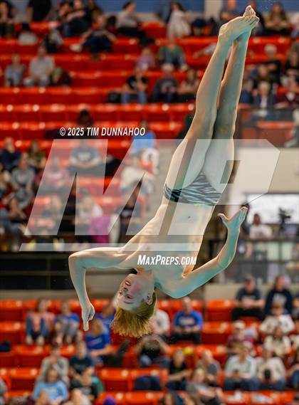 Thumbnail 1 in UIL 6A Swimming & Diving Finals (Diving) photogallery.