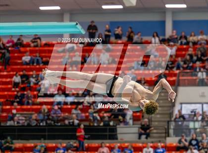 Thumbnail 2 in UIL 6A Swimming & Diving Finals (Diving) photogallery.