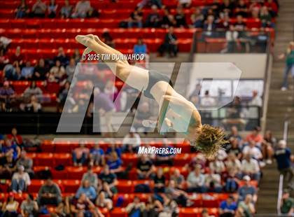 Thumbnail 2 in UIL 6A Swimming & Diving Finals (Diving) photogallery.