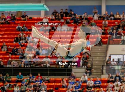 Thumbnail 3 in UIL 6A Swimming & Diving Finals (Diving) photogallery.
