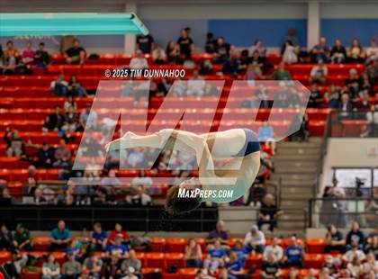 Thumbnail 3 in UIL 6A Swimming & Diving Finals (Diving) photogallery.