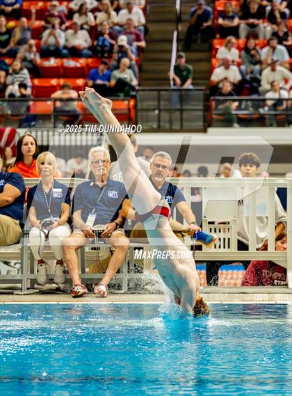Thumbnail 2 in UIL 6A Swimming & Diving Finals (Diving) photogallery.