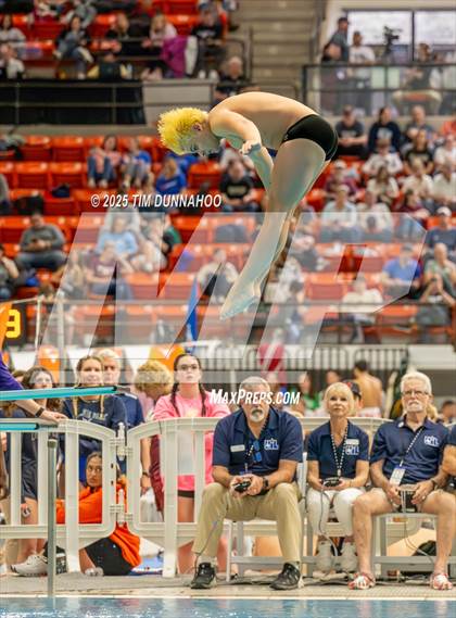 Thumbnail 3 in UIL 6A Swimming & Diving Finals (Diving) photogallery.