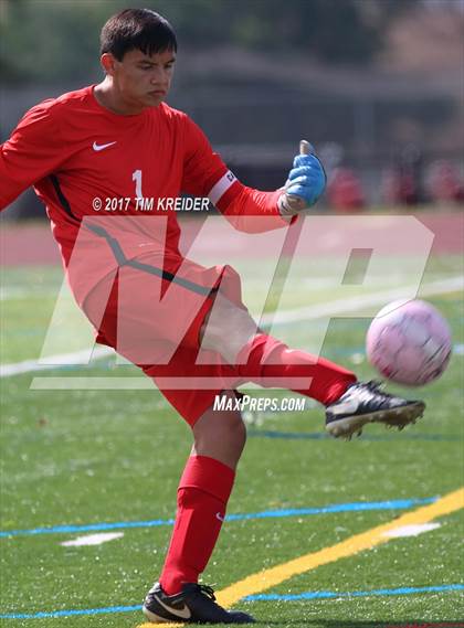 Thumbnail 3 in Manheim Township @ Conestoga Valley photogallery.