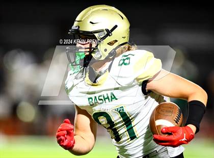 Thumbnail 1 in Basha @ O'Connor photogallery.