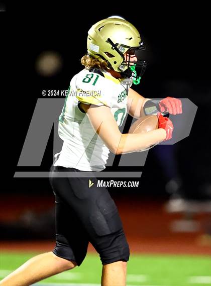 Thumbnail 3 in Basha @ O'Connor photogallery.