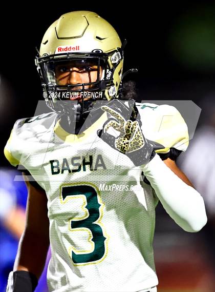 Thumbnail 2 in Basha @ O'Connor photogallery.