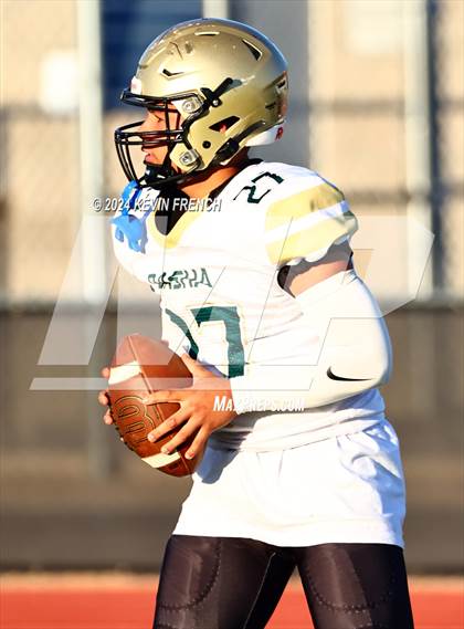 Thumbnail 2 in Basha @ O'Connor photogallery.