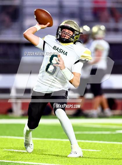 Thumbnail 1 in Basha @ O'Connor photogallery.