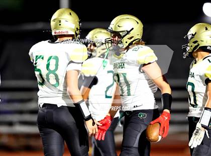 Thumbnail 2 in Basha @ O'Connor photogallery.