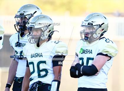 Thumbnail 2 in Basha @ O'Connor photogallery.