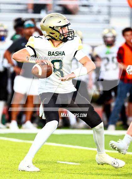 Thumbnail 3 in Basha @ O'Connor photogallery.