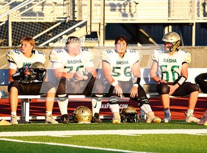 Thumbnail 2 in Basha @ O'Connor photogallery.