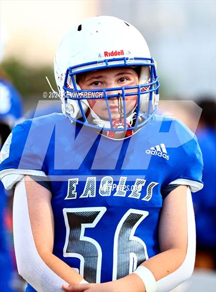Thumbnail 1 in Basha @ O'Connor photogallery.