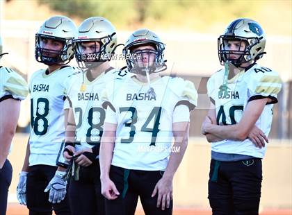 Thumbnail 1 in Basha @ O'Connor photogallery.
