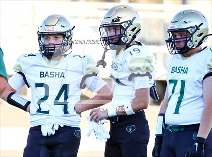 Thumbnail 2 in Basha @ O'Connor photogallery.