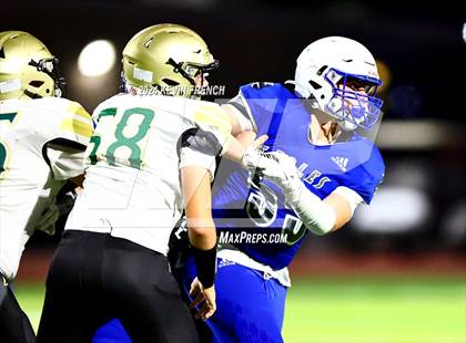 Thumbnail 2 in Basha @ O'Connor photogallery.