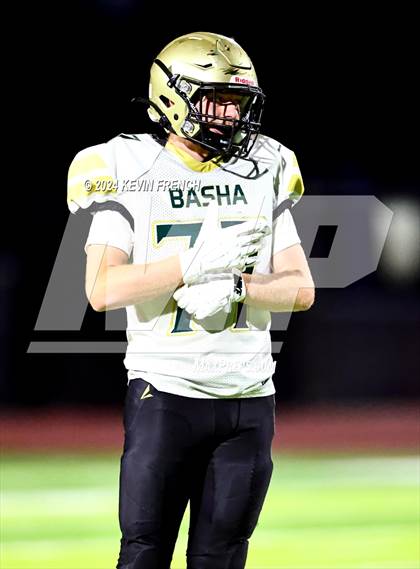 Thumbnail 2 in Basha @ O'Connor photogallery.
