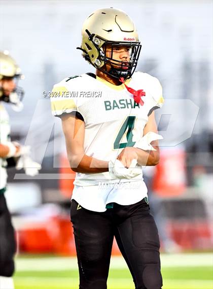 Thumbnail 3 in Basha @ O'Connor photogallery.
