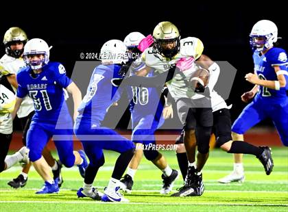 Thumbnail 3 in Basha @ O'Connor photogallery.