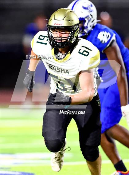 Thumbnail 3 in Basha @ O'Connor photogallery.