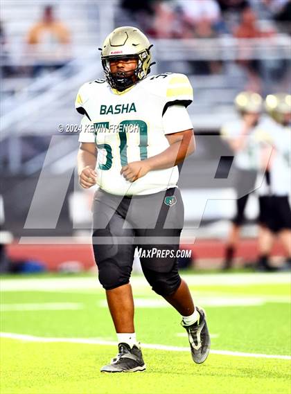 Thumbnail 1 in Basha @ O'Connor photogallery.
