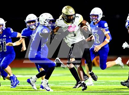 Thumbnail 1 in Basha @ O'Connor photogallery.