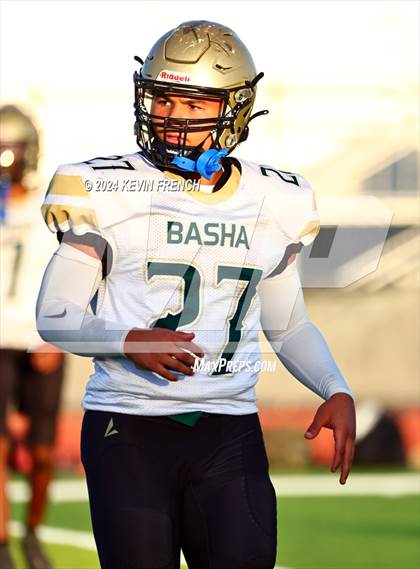Thumbnail 3 in Basha @ O'Connor photogallery.
