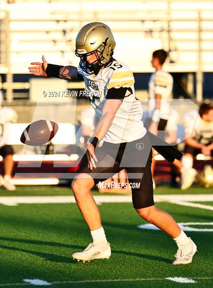 Thumbnail 2 in Basha @ O'Connor photogallery.