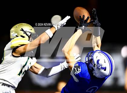 Thumbnail 1 in Basha @ O'Connor photogallery.