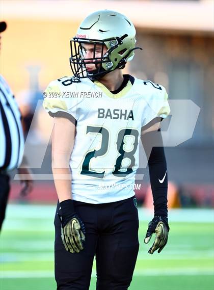 Thumbnail 1 in Basha @ O'Connor photogallery.