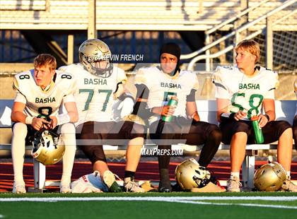 Thumbnail 3 in Basha @ O'Connor photogallery.