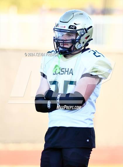 Thumbnail 3 in Basha @ O'Connor photogallery.