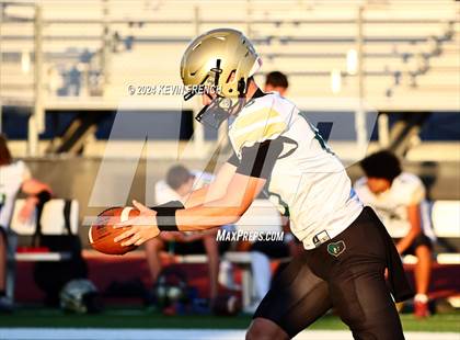 Thumbnail 1 in Basha @ O'Connor photogallery.
