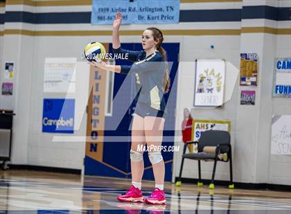 Thumbnail 1 in Harding Academy @ Arlington photogallery.