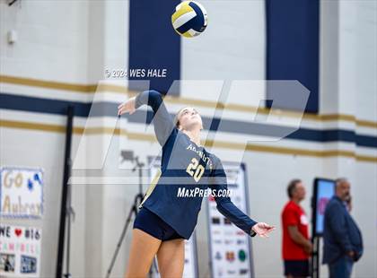 Thumbnail 2 in Harding Academy @ Arlington photogallery.