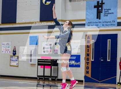 Thumbnail 1 in Harding Academy @ Arlington photogallery.