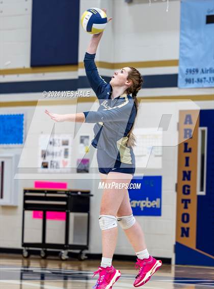 Thumbnail 3 in Harding Academy @ Arlington photogallery.