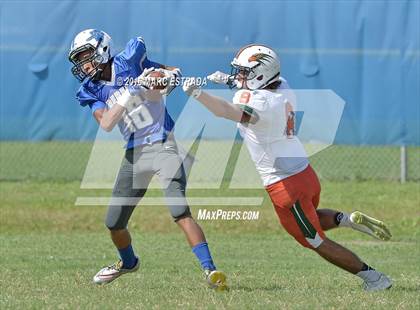 Thumbnail 2 in Seminole @ Dixie Hollins photogallery.