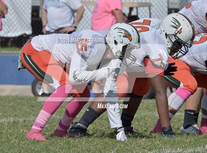 Thumbnail 3 in Seminole @ Dixie Hollins photogallery.