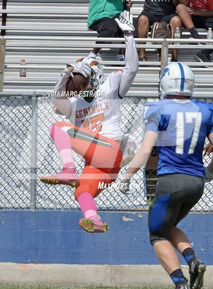Thumbnail 2 in Seminole @ Dixie Hollins photogallery.