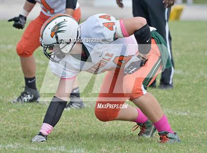 Thumbnail 1 in Seminole @ Dixie Hollins photogallery.