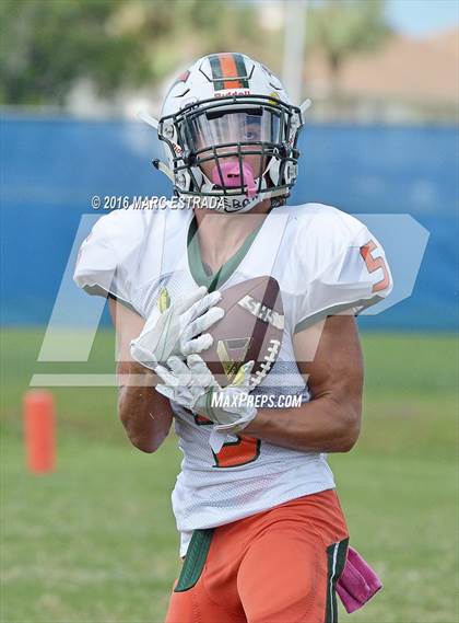 Thumbnail 1 in Seminole @ Dixie Hollins photogallery.