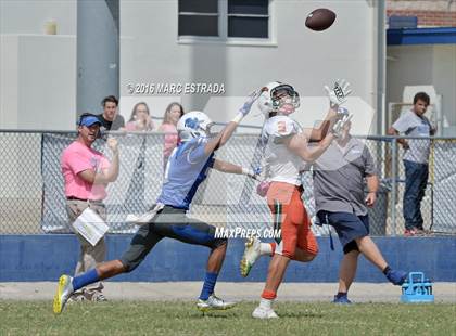 Thumbnail 2 in Seminole @ Dixie Hollins photogallery.