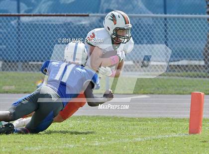 Thumbnail 3 in Seminole @ Dixie Hollins photogallery.