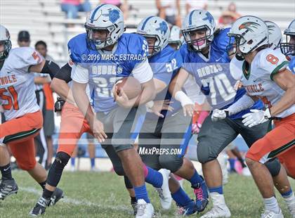 Thumbnail 2 in Seminole @ Dixie Hollins photogallery.