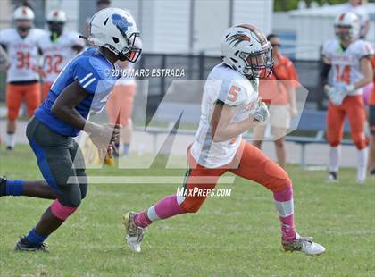 Thumbnail 2 in Seminole @ Dixie Hollins photogallery.