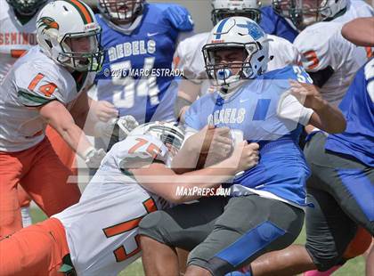 Thumbnail 1 in Seminole @ Dixie Hollins photogallery.